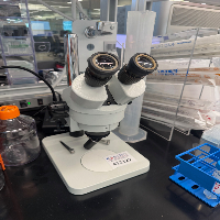 Vision Scientific Stereo Microscope image 0